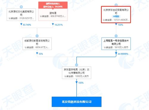 京東關聯電競公司全資收購北京霓旌科技，強化電競生態布局