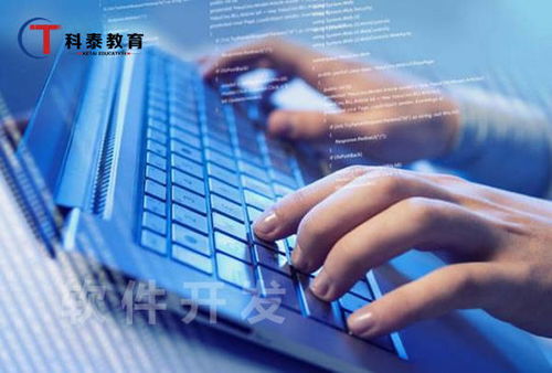 零基礎學計算機編程入門難嗎？——計算機軟件技術開發入門全解析